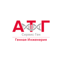 ООО 